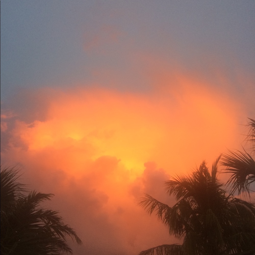 Meet your Posher, Tessa